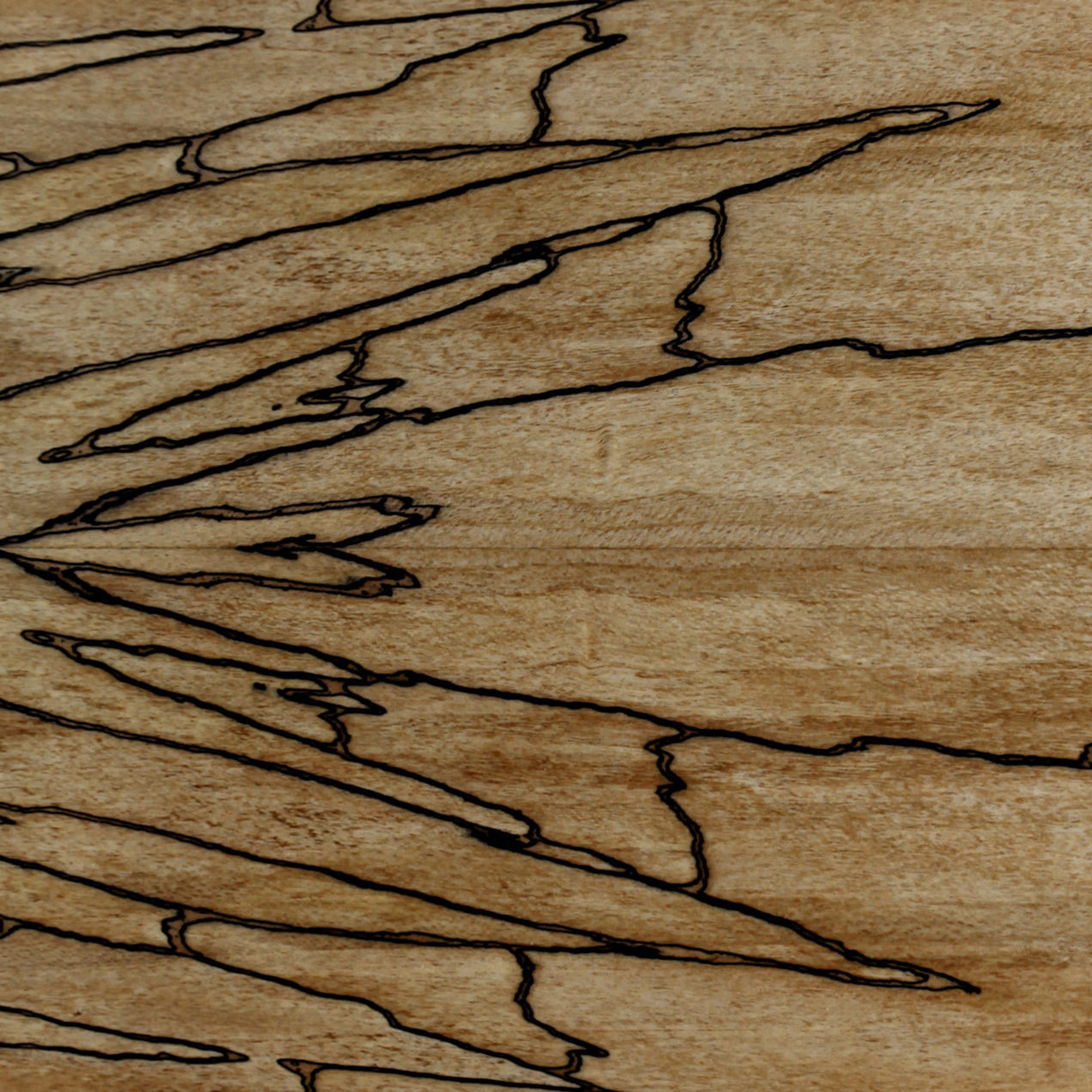 Tactile Spalted Wood Interior Cladding™